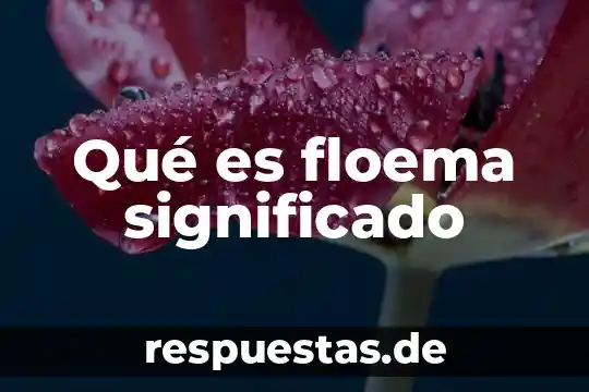 Que es granate significado 7 Qué es floema significado