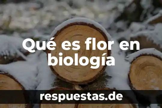 Hibernar computadora que es 6 Qué es flor en biología