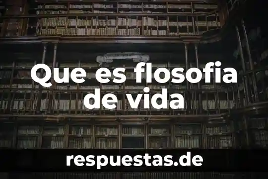 Qué es el razonamiento analógico y cuál uso damos en la vida cotidiana 6 Que es flosofia de vida