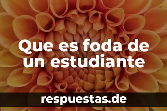 Que es ser estudiante en que consiste 6 Que es foda de un estudiante