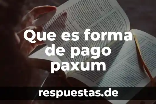 Qué es un concepto en un pago 6 Que es forma de pago paxum