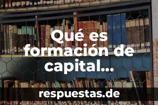 Qué es formación de capital definición