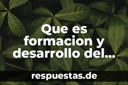 Define que es el desarrollo estabilizador 5 Que es formacion y desarrollo del empleaado