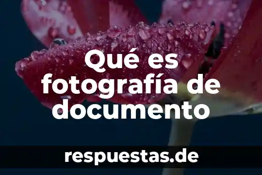 Que es el nombre del documento electronico 8 Qué es fotografía de documento