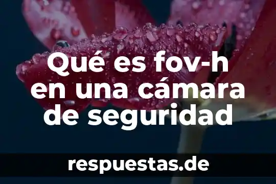 Que es un dilema definicon con su autor 5 Qué es fov-h en una cámara de seguridad