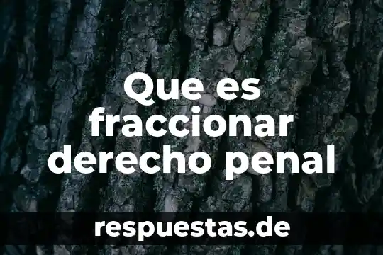 Que es la esencia del derecho penal 3 Que es fraccionar derecho penal