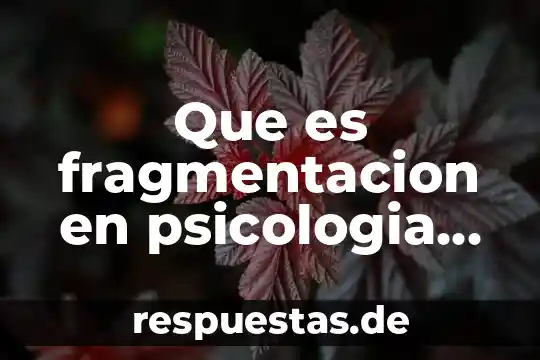 Que es el razonamiento en psicologia cognitiva 8 Que es fragmentacion en psicologia ambiental
