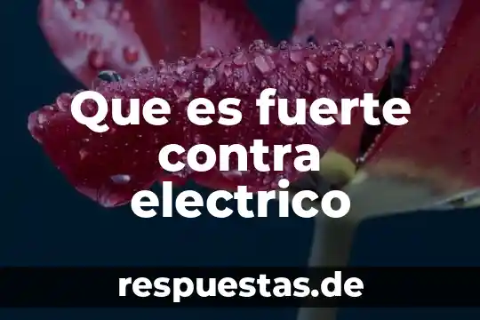 Por que es importante una reforma contra el maltrato animal 4 Que es fuerte contra electrico