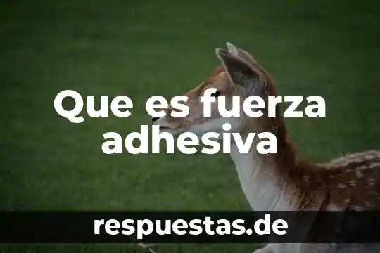 Que es fuerza formula y ejemplo 5 Que es fuerza adhesiva