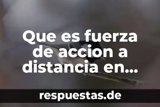 Que es reaccion significado fisica 7 Que es fuerza de accion a distancia en fisica