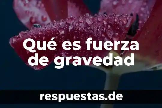 Que es la proporcionalidad de la fuerza 4 Qué es fuerza de gravedad