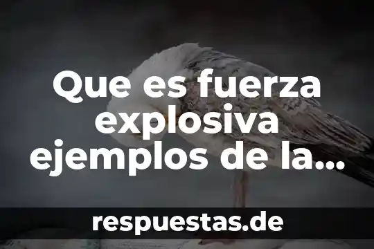 Vida cotidiana definición 8 Que es fuerza explosiva ejemplos de la vida cotidiana