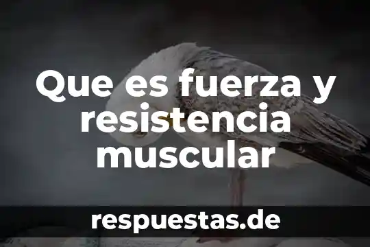 Que es resistencia vascular sistemica 5 Que es fuerza y resistencia muscular