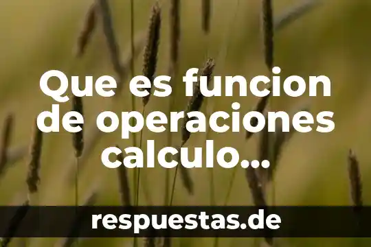 Que es el elemento diferencial equilibrio 5 Que es funcion de operaciones calculo diferencial