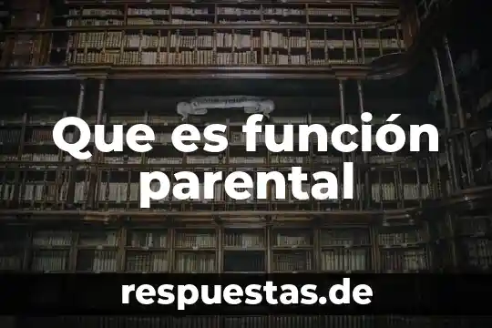 Que es surfactante y su funcion 5 Que es función parental