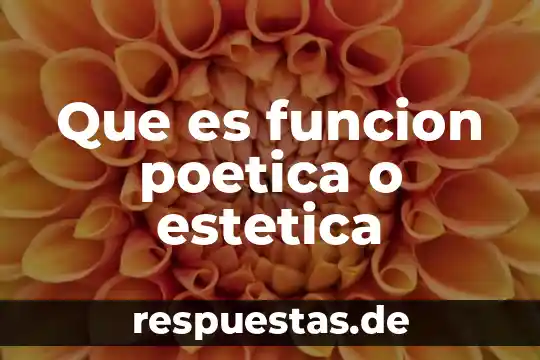 Que es la sifica y cual es su funcion 4 Que es funcion poetica o estetica