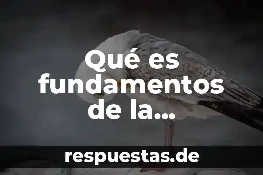 Qué es el núcleo electricidad 6 Qué es fundamentos de la electricidad