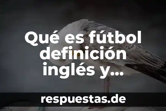 Que es la tecnologia en el futbol 8 Qué es fútbol definición inglés y español