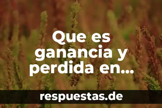 Que es la abstracción en arquitectura 8 Que es ganancia y perdida en contabilidad
