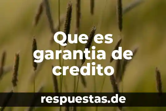 Qué es un crédito en una conciliación 4 Que es garantia de credito