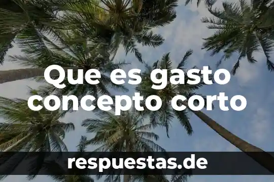 Qué es etnia concepto corto 4 Que es gasto concepto corto