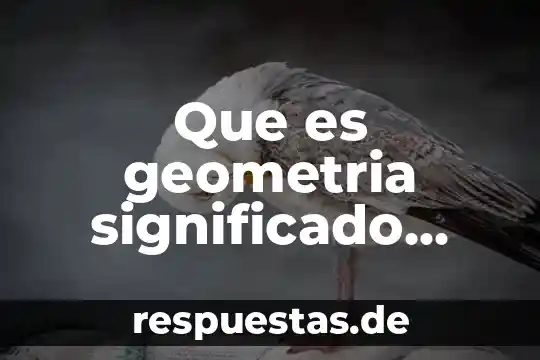 Fecundación significado etimológico y que es 7 Que es geometria significado etimologico