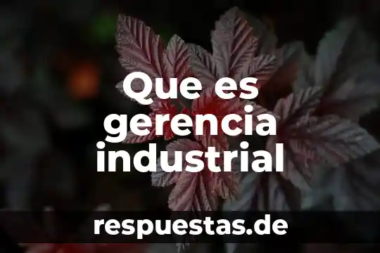 Que es el cuerpo de conocimiento del ingeniero industrial 4 Que es gerencia industrial