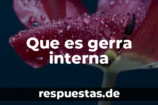 Que es la reman interna en una institucion 8 Que es gerra interna