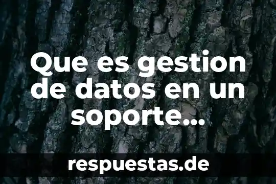 Que es gestion de datos en un soporte tecnico