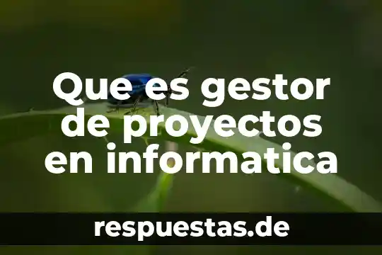 Que es un sistema gestor de bese de detos 6 Que es gestor de proyectos en informatica