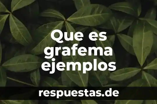Qué es una proposición universal ejemplos 4 Que es grafema ejemplos