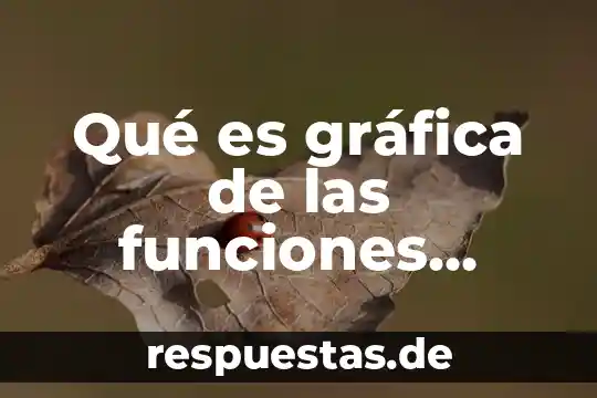 Que es escalas graficas 8 Qué es gráfica de las funciones gráficas
