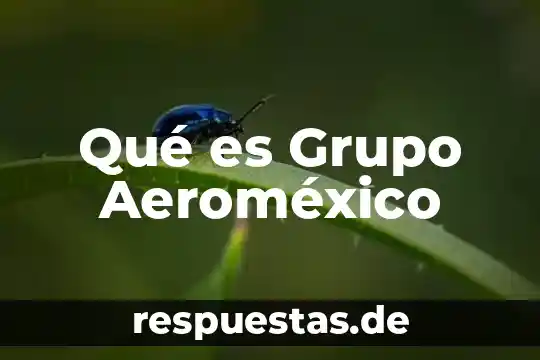 Qué es Grupo Aeroméxico