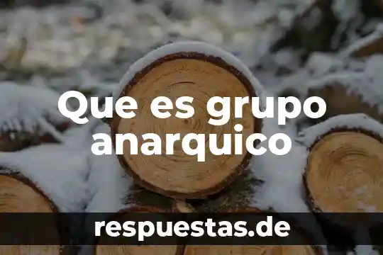 Que es abstencionismo electoral significado 7 Que es grupo anarquico