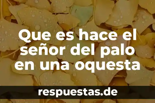 Que es lo que hace una casa de cultura 7 Que es hace el señor del palo en una oquesta