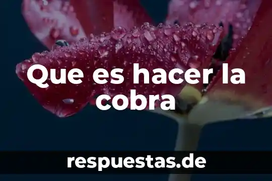 Que es hacer playback 8 Que es hacer la cobra
