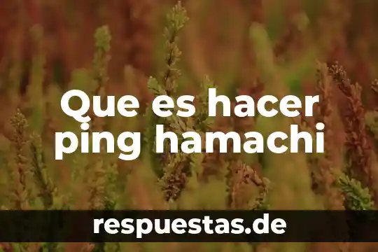 Que es un cuadro latino 8 Que es hacer ping hamachi