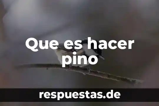 Que es hacer playback 4 Que es hacer pino