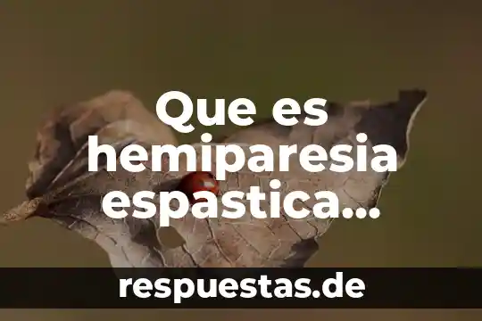 Que es un pensamiento de derecha 6 Que es hemiparesia espastica derecha