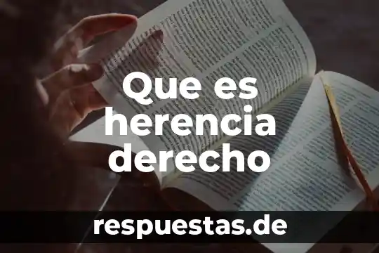 Que es el argumento en derecho 5 Que es herencia derecho