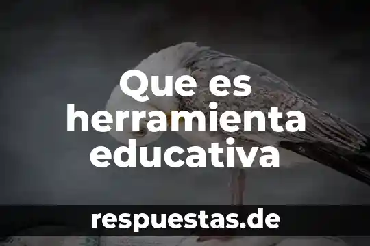 Que es herramienta educativa