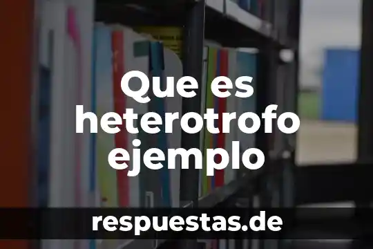 Que es una figura bidimennsional de artes 4 Que es heterotrofo ejemplo