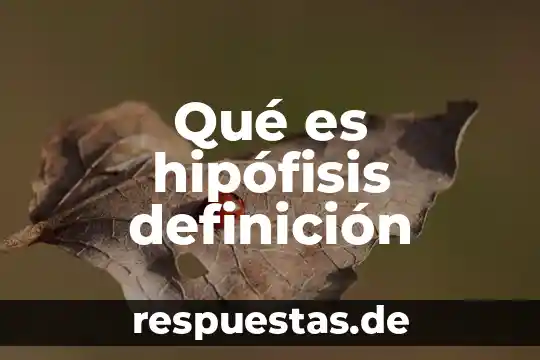 Qué es hipófisis en un texto 3 Qué es hipófisis definición