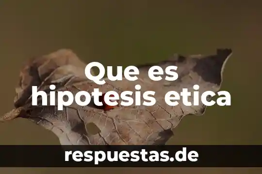Qué es la hipótesis en una investigación científica 8 Que es hipotesis etica
