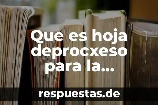 Que es hoja deprocxeso para la informacion