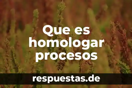 Que es homologar procesos