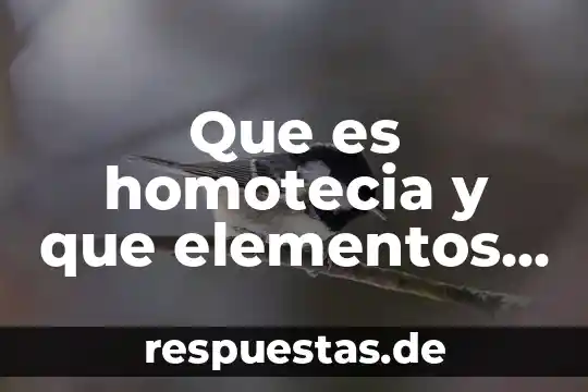 Qué es el adviento y sus elementos 3 Que es homotecia y que elementos lo forma