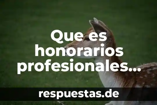 Que es honorarios profesionales en contabilidad