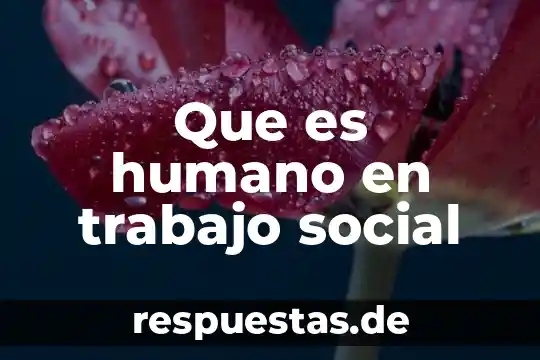 Que es humano en trabajo social
