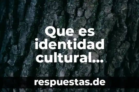 Que es el legado cultural de veracruz 8 Que es identidad cultural contemporanea